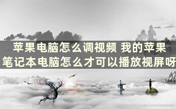 苹果电脑怎么调视频 我的苹果笔记本电脑怎么才可以播放视屏呀